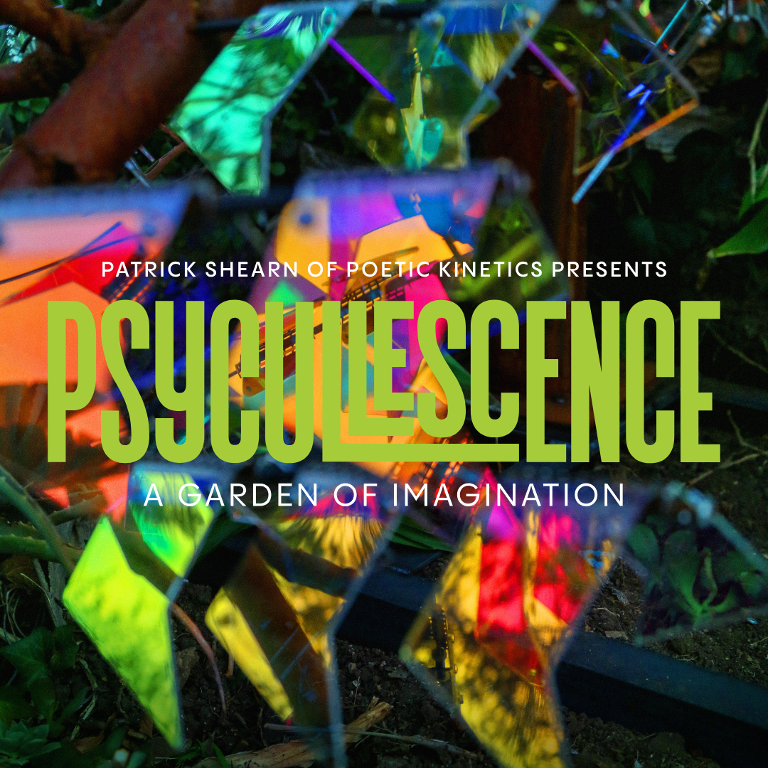 GOCA Patrick Shearn Poetic Kinetics: Psycullescense 2024