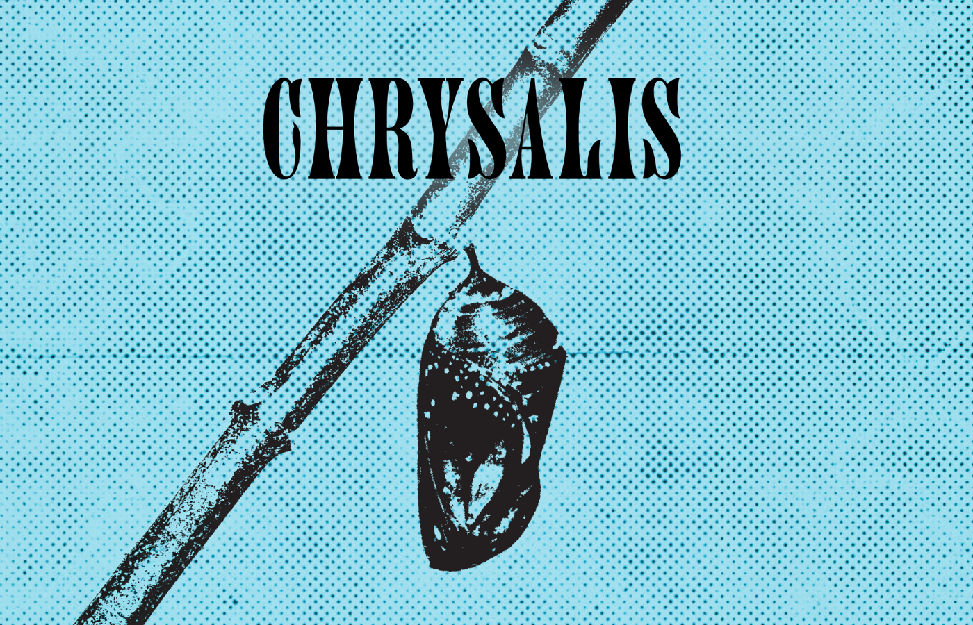 GOCA VA Senior Show 2026 Chrysalis RECT