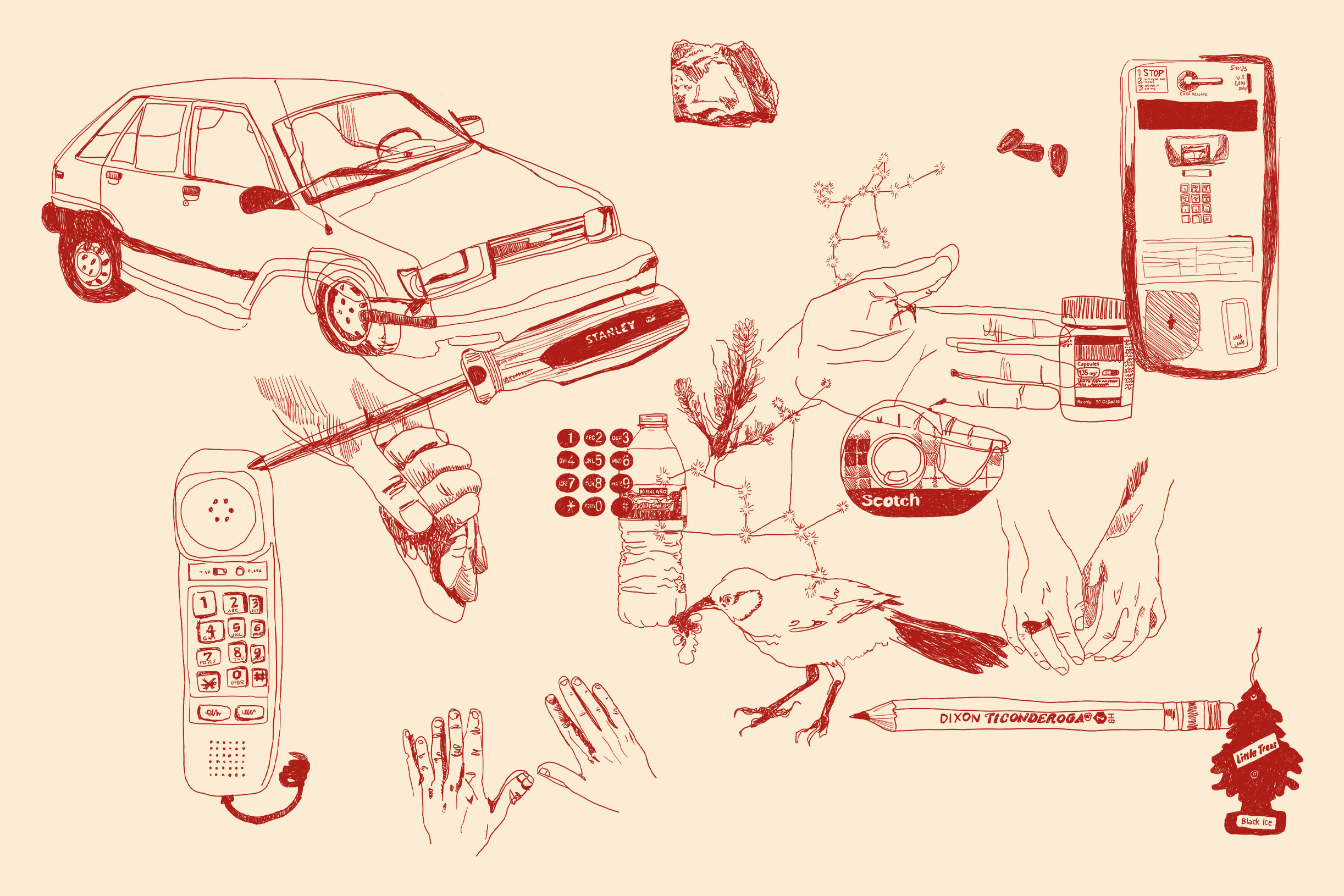 illustrated objects on a peach background