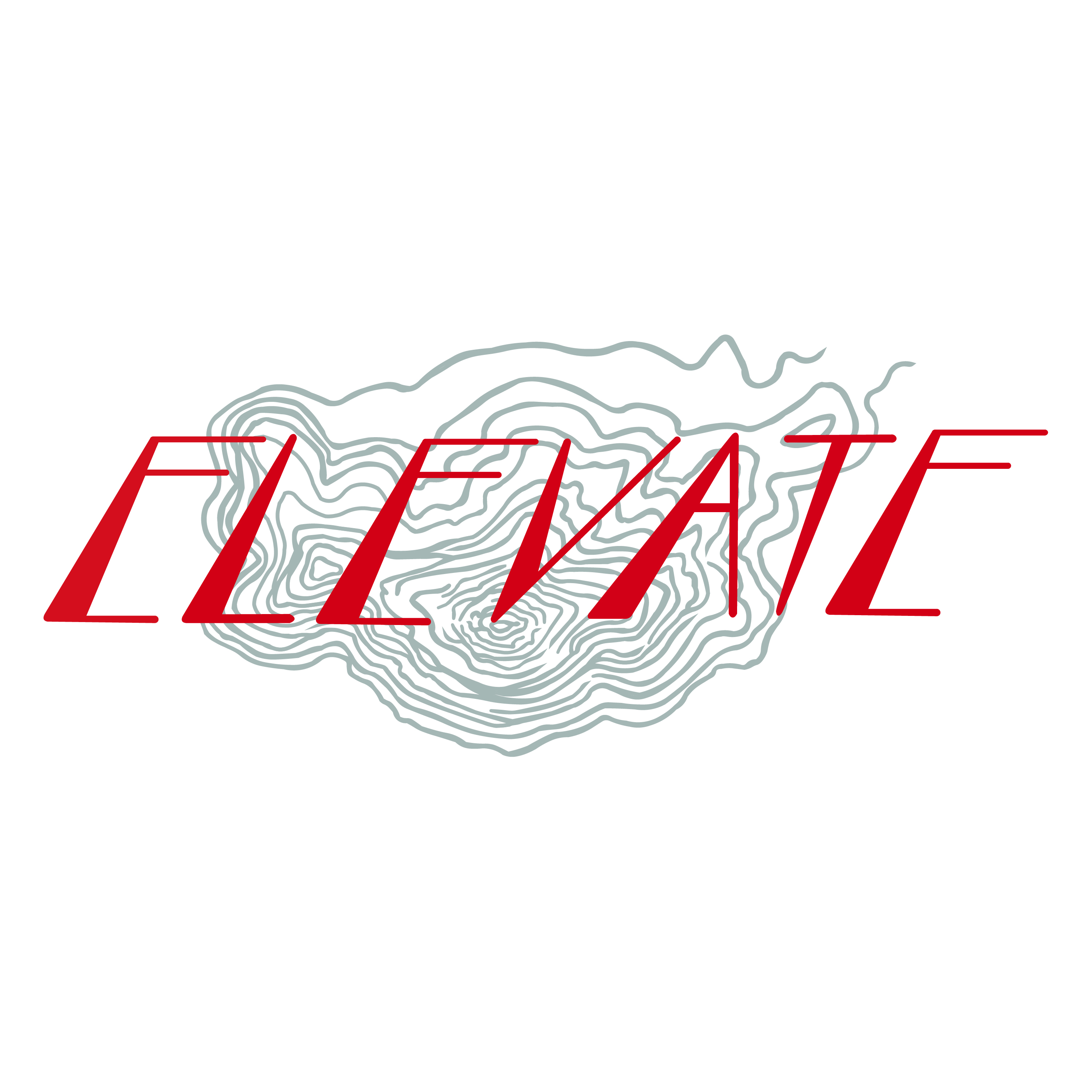 2022 visual art senior exhibition logo that reads "elevate"